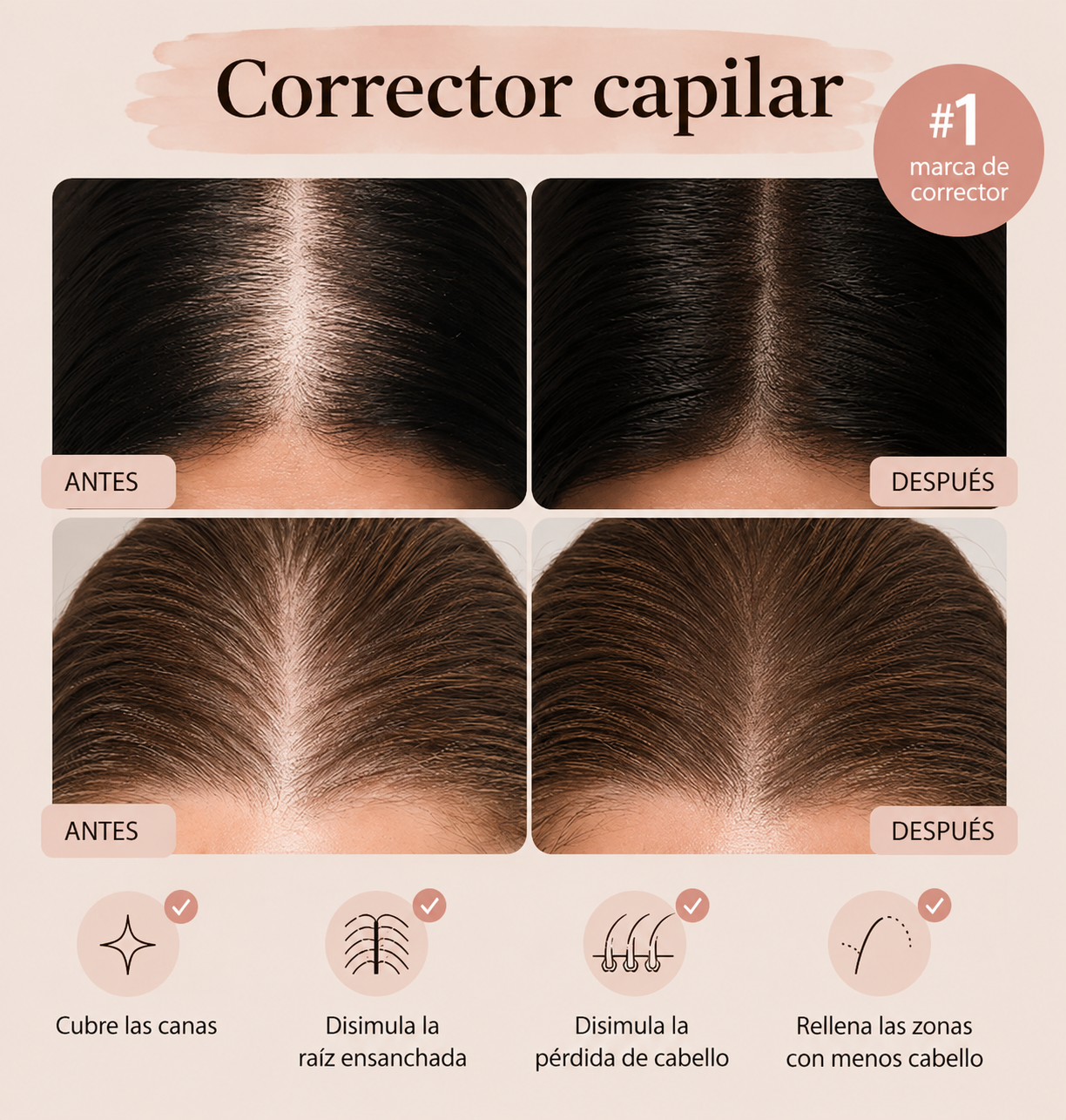 Stick Corrector de Canas y Línea del Cabello