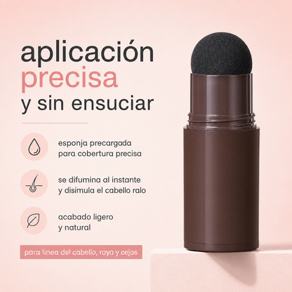 Stick Corrector de Canas y Línea del Cabello